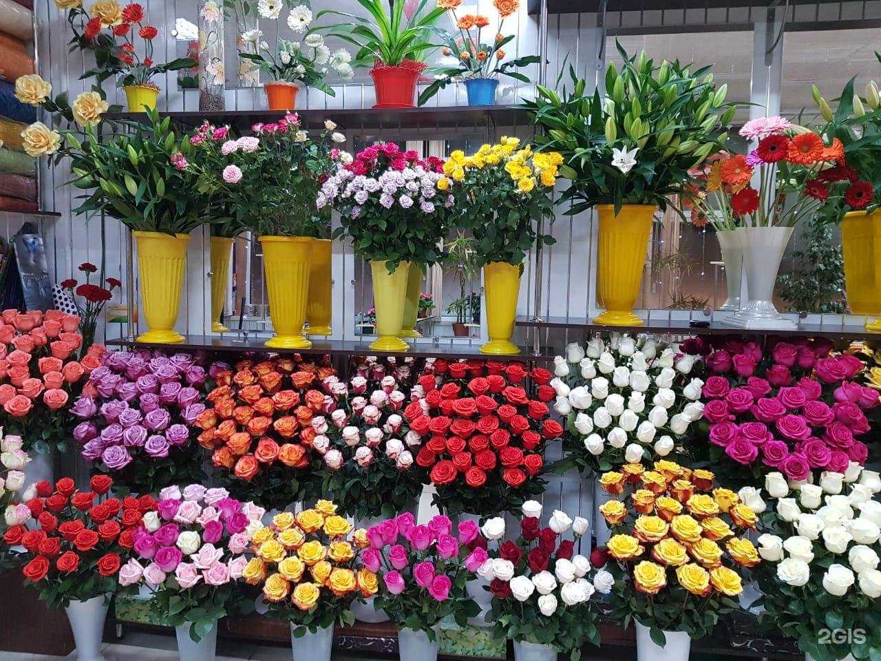 Отзывы на компанию Бульвар цветов в Петропавловске-Камчатском c фото