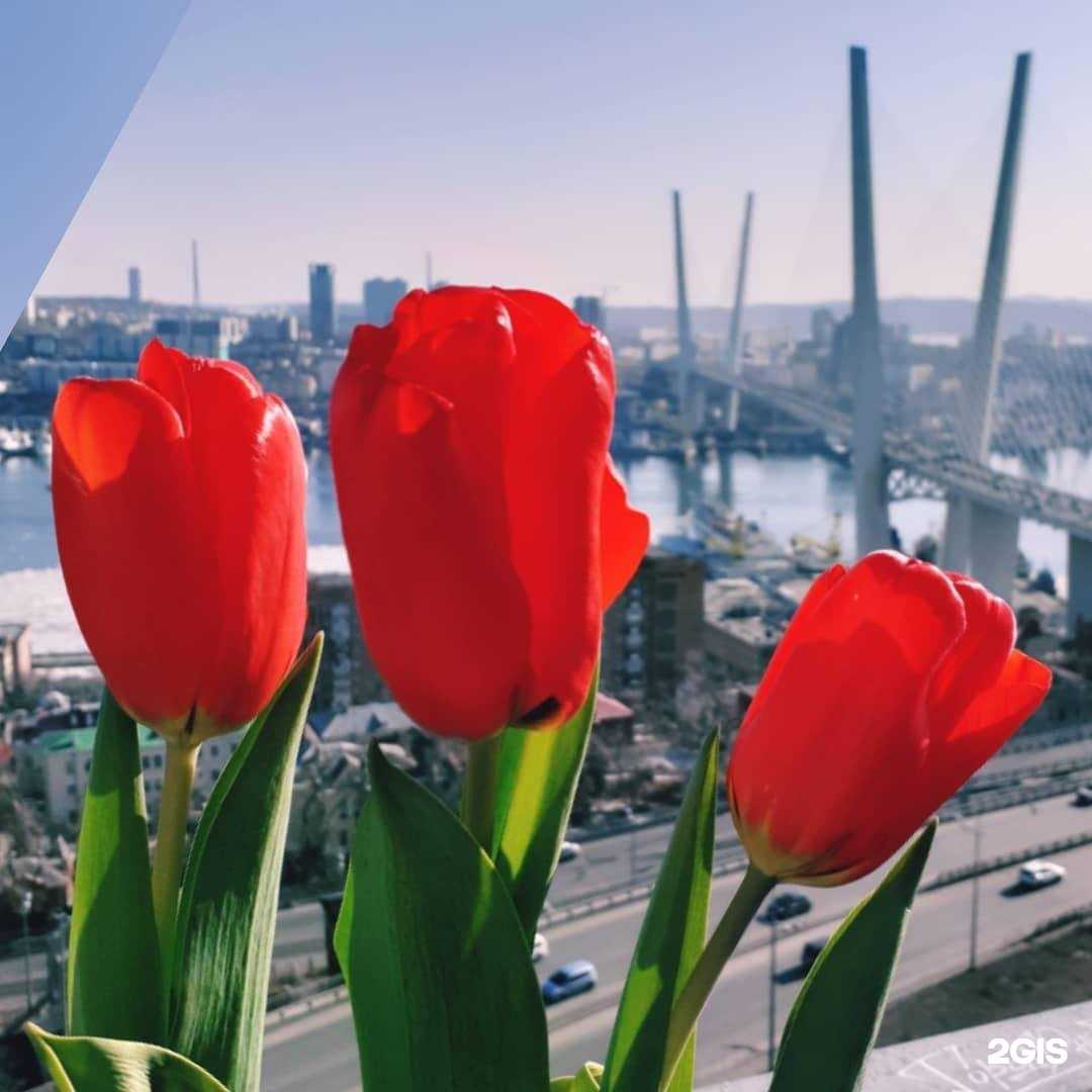 Отзывы на компанию Тетрис в Владивостоке c фото