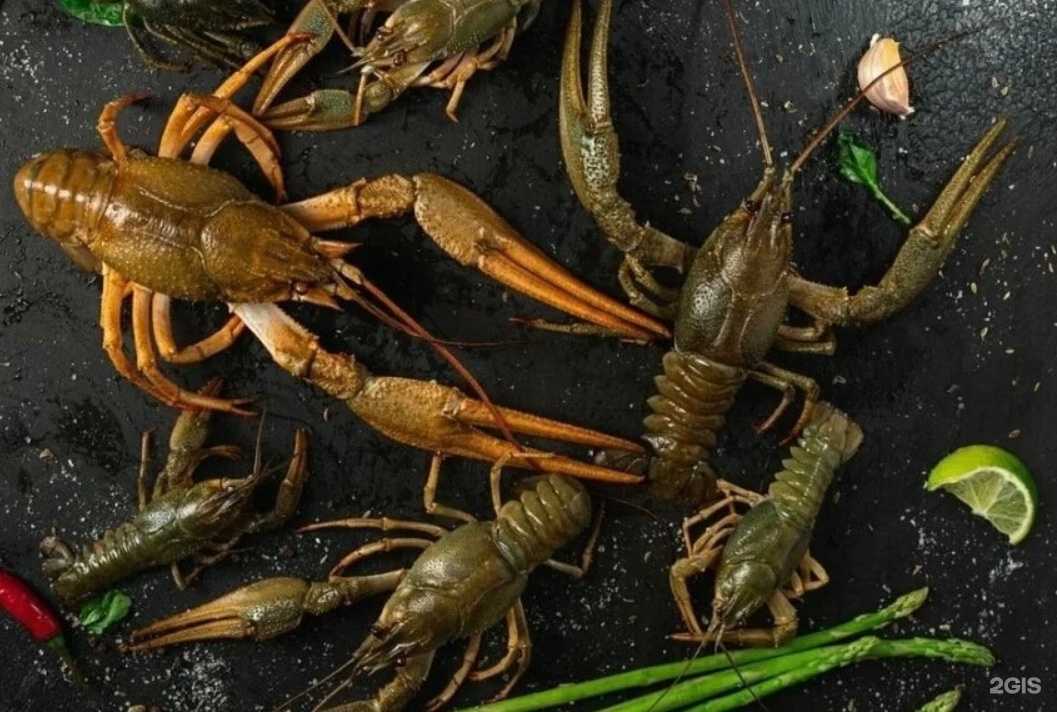 Отзывы на компанию OLD в г. Ханты-Мансийск c фото