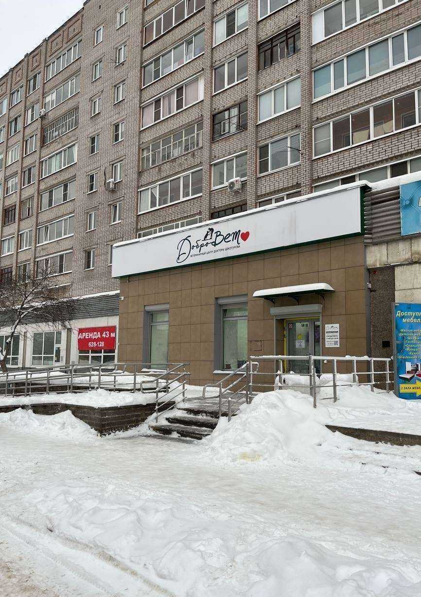 Отзывы на компанию ДоброВет в Череповце c фото