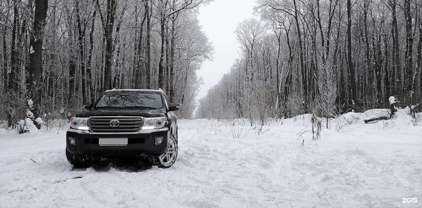 Отзывы на компанию Автолайн в г. Кемерово c фото