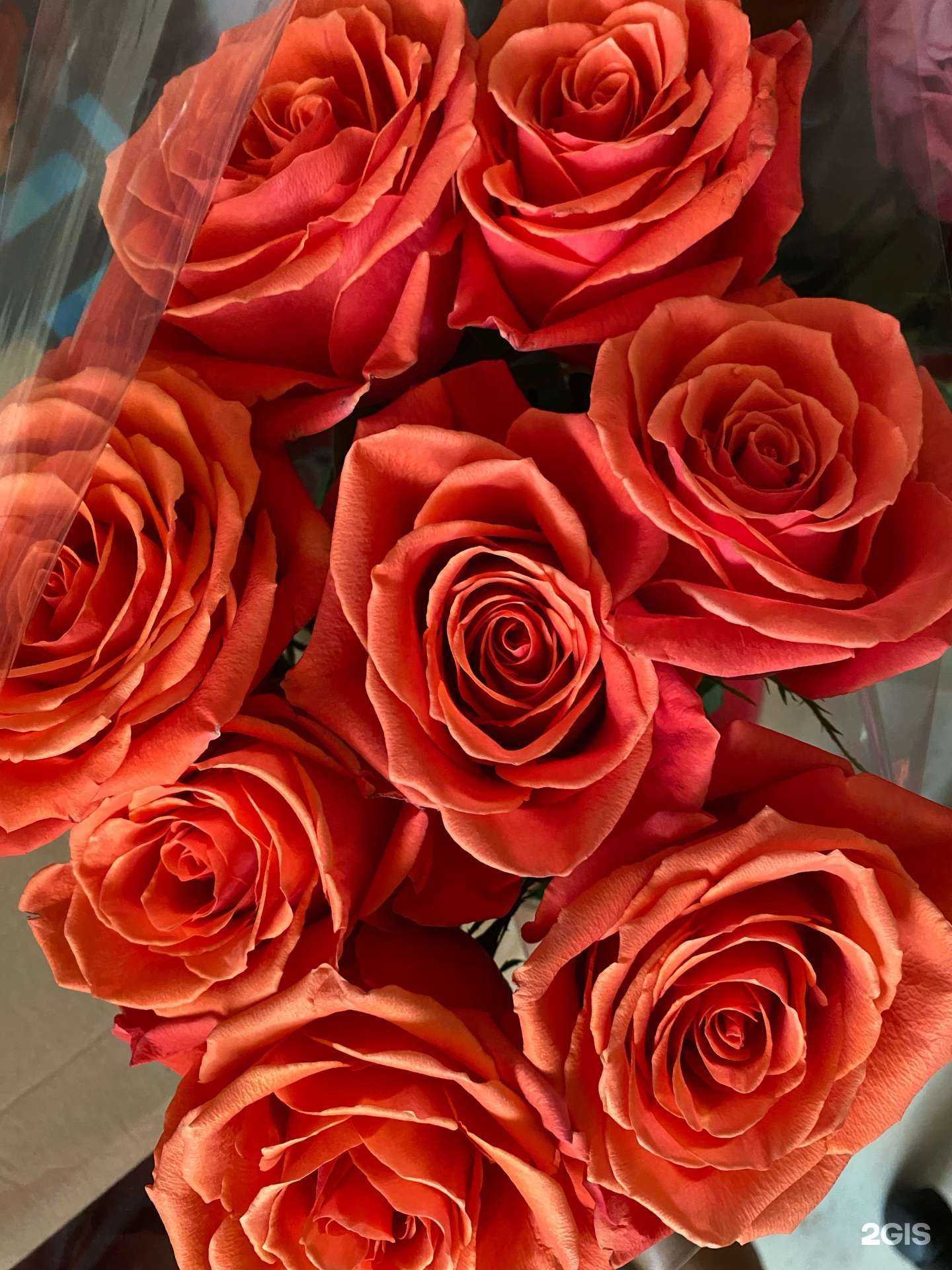 Отзывы на компанию Оазис в г. Улан-Удэ c фото