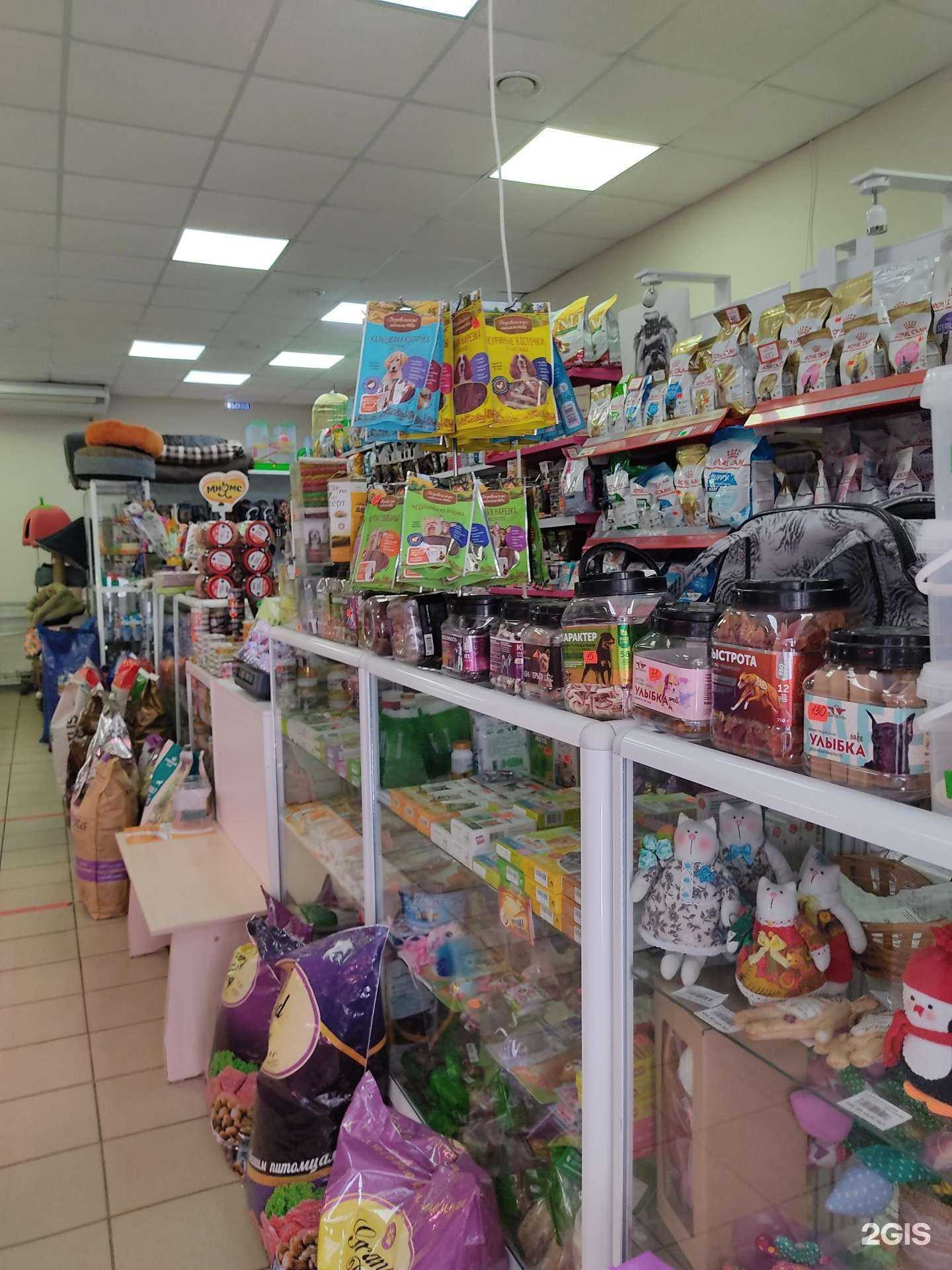 Отзывы на компанию Кот и пёс в Дивногорске c фото