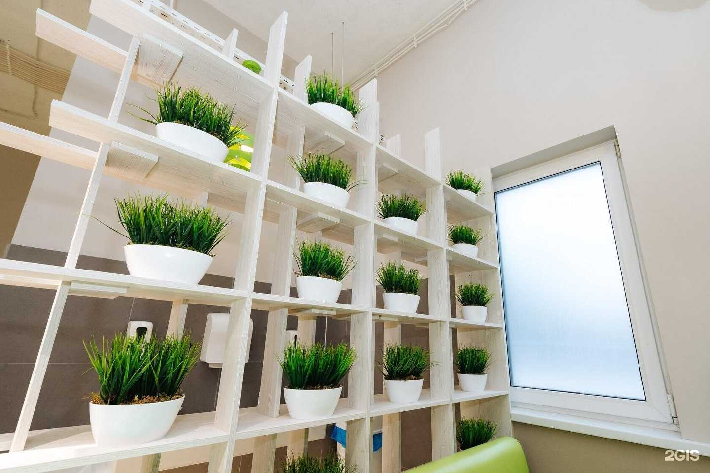 Отзывы на компанию Тарелка в Смоленске c фото