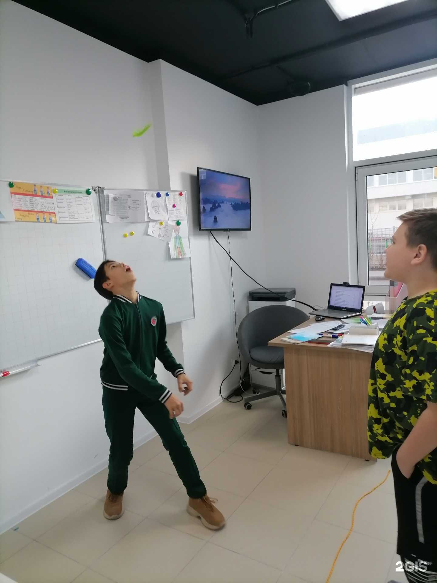 Отзывы на компанию Платан в Краснодаре c фото