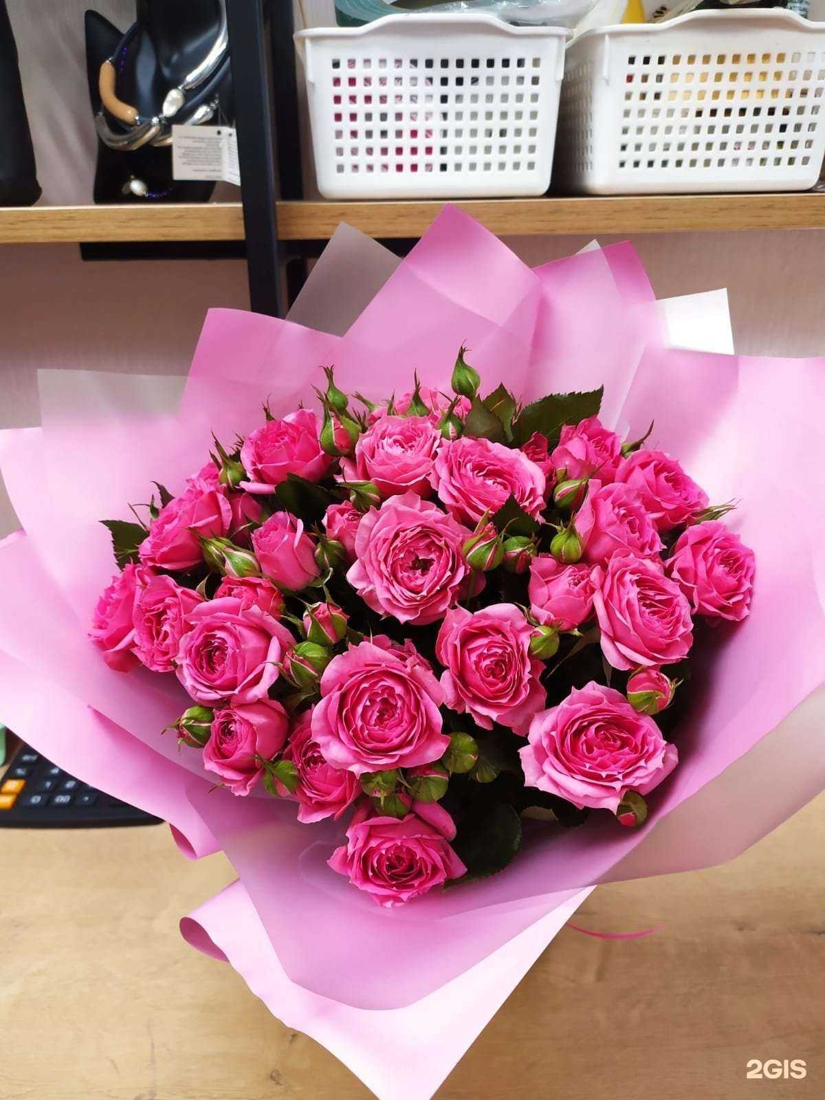 Отзывы на компанию Я и мои голландцы в Новосибирске c фото