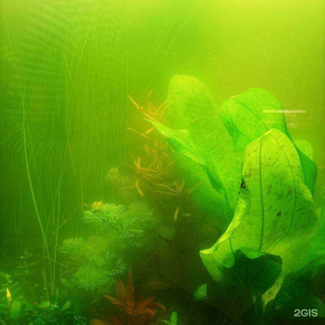 Отзывы на компанию Aqua design в г. Барнаул c фото