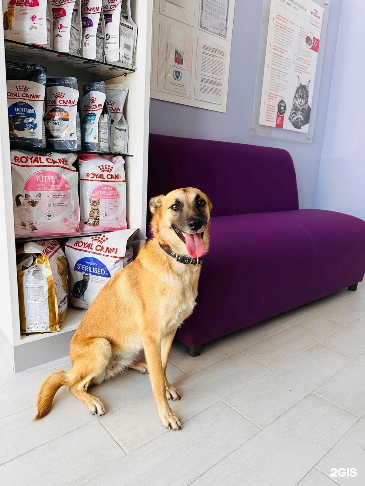 Отзывы на компанию Конечно, Вася! в Краснодаре c фото