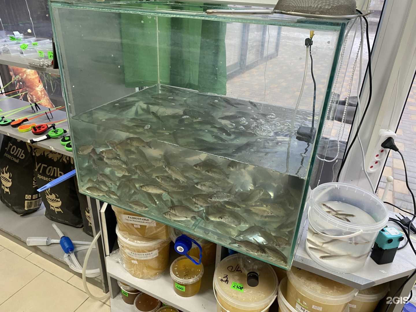 Отзывы на компанию Za Рыбой в Волгограде c фото