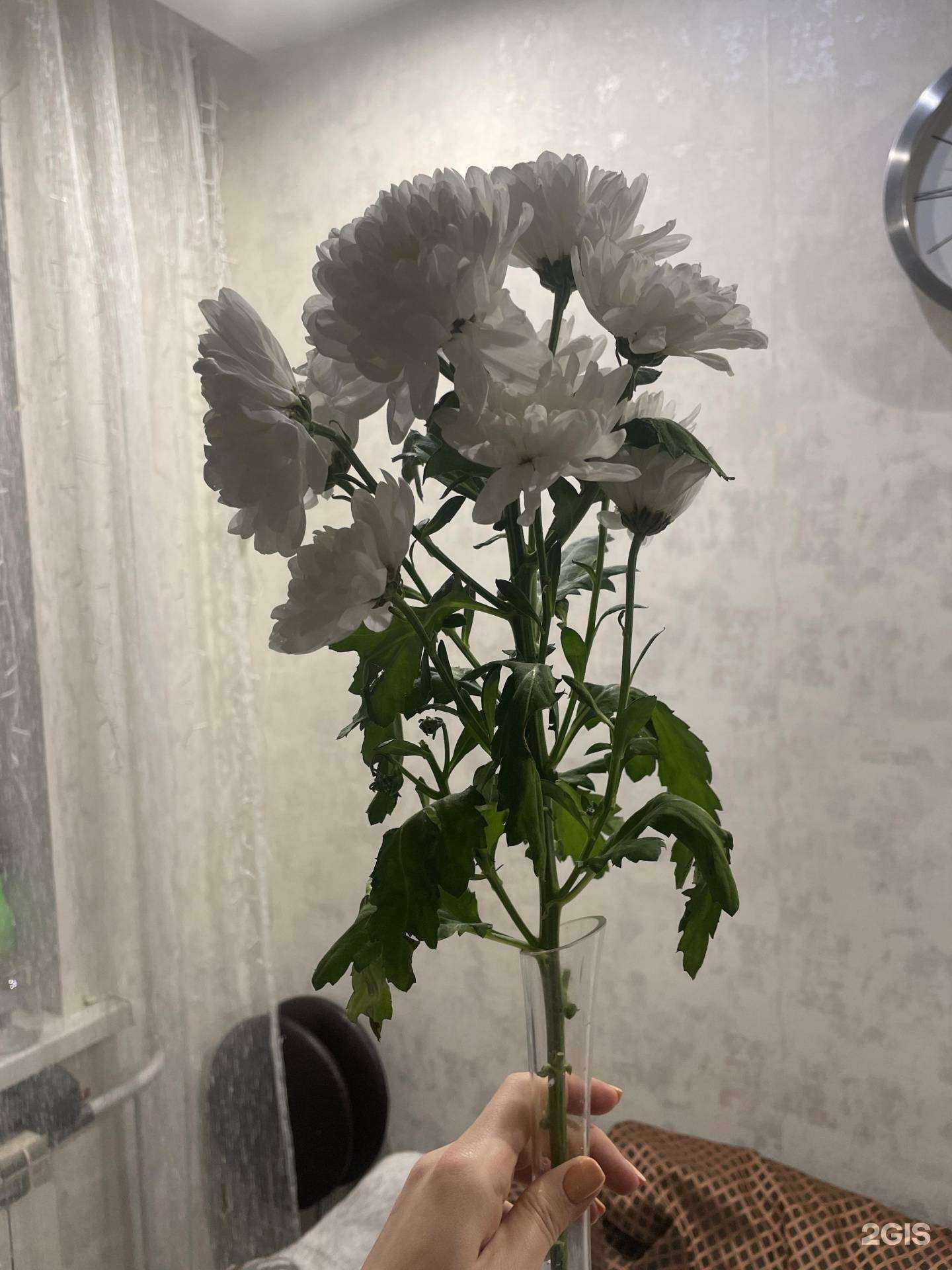 Отзывы на компанию Магазин цветов в Красноярске c фото