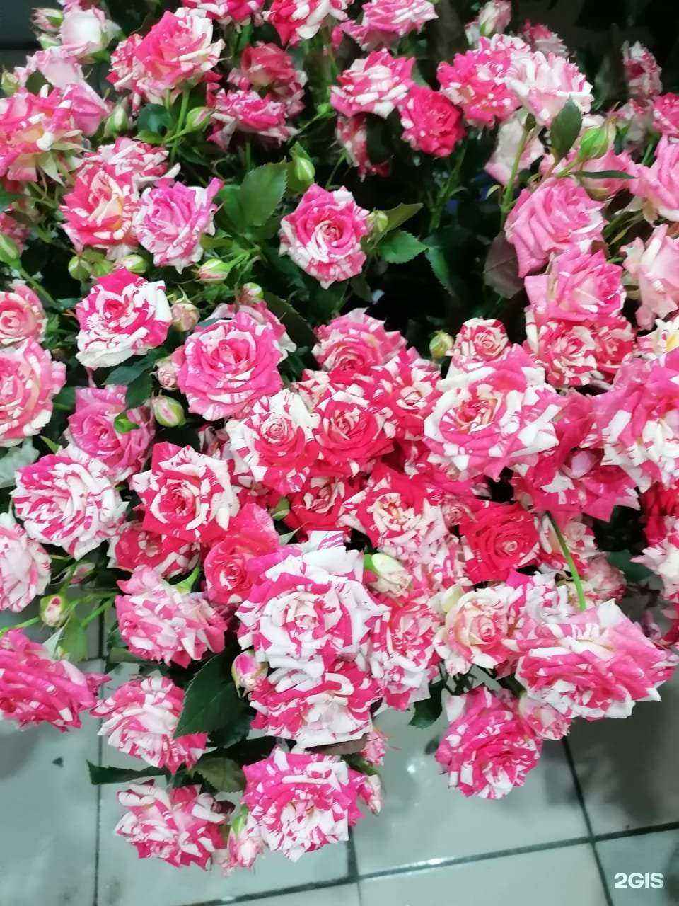 Отзывы на компанию ЛАВАНДА в Ульяновске c фото