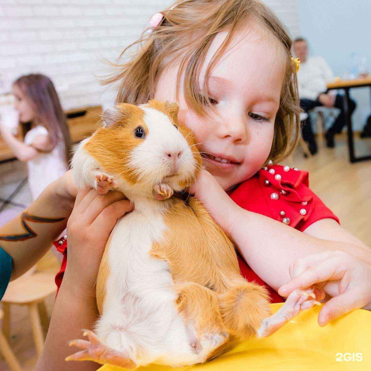 Отзывы на компанию Облака в г. Отрадное c фото