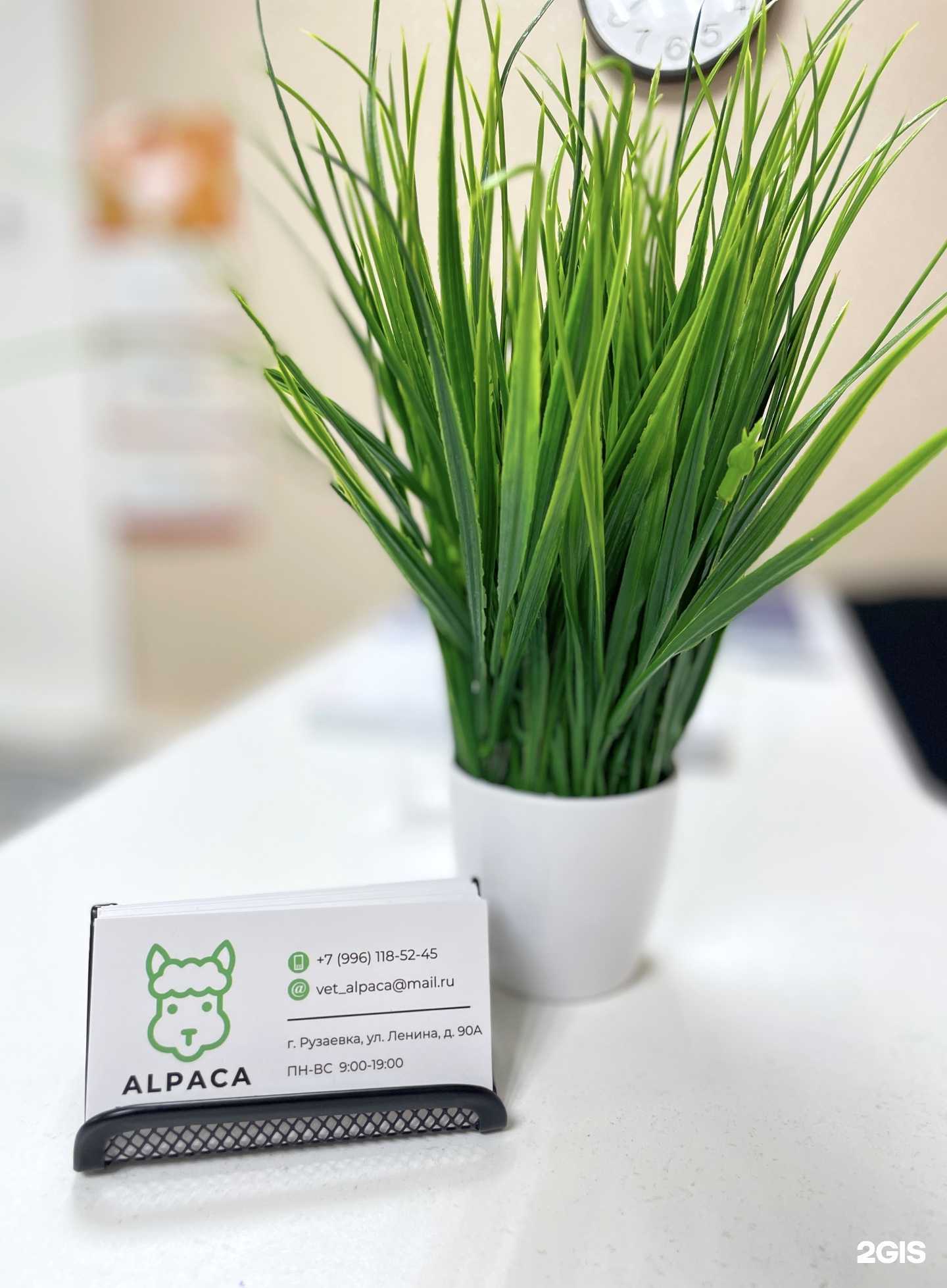 Отзывы на компанию Alpaca в г. Рузаевка c фото