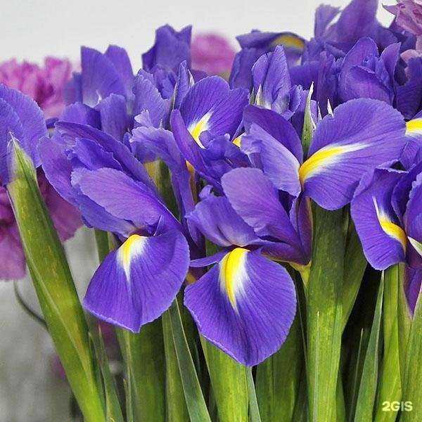 Отзывы на компанию Джем в Балашихе c фото