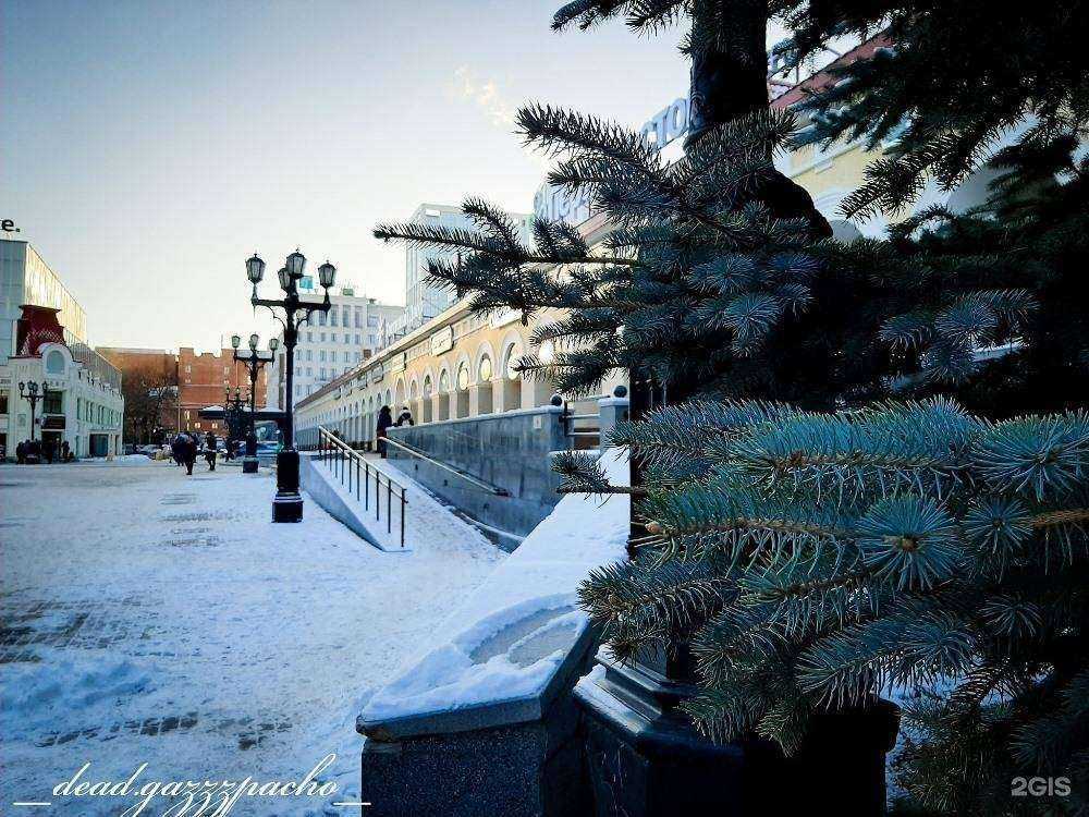 Отзывы на компанию Лицей №153 в г. Уфа c фото