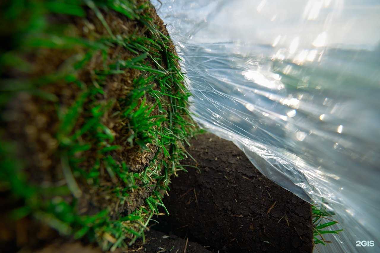 Отзывы на компанию Парк декор в Екатеринбурге c фото