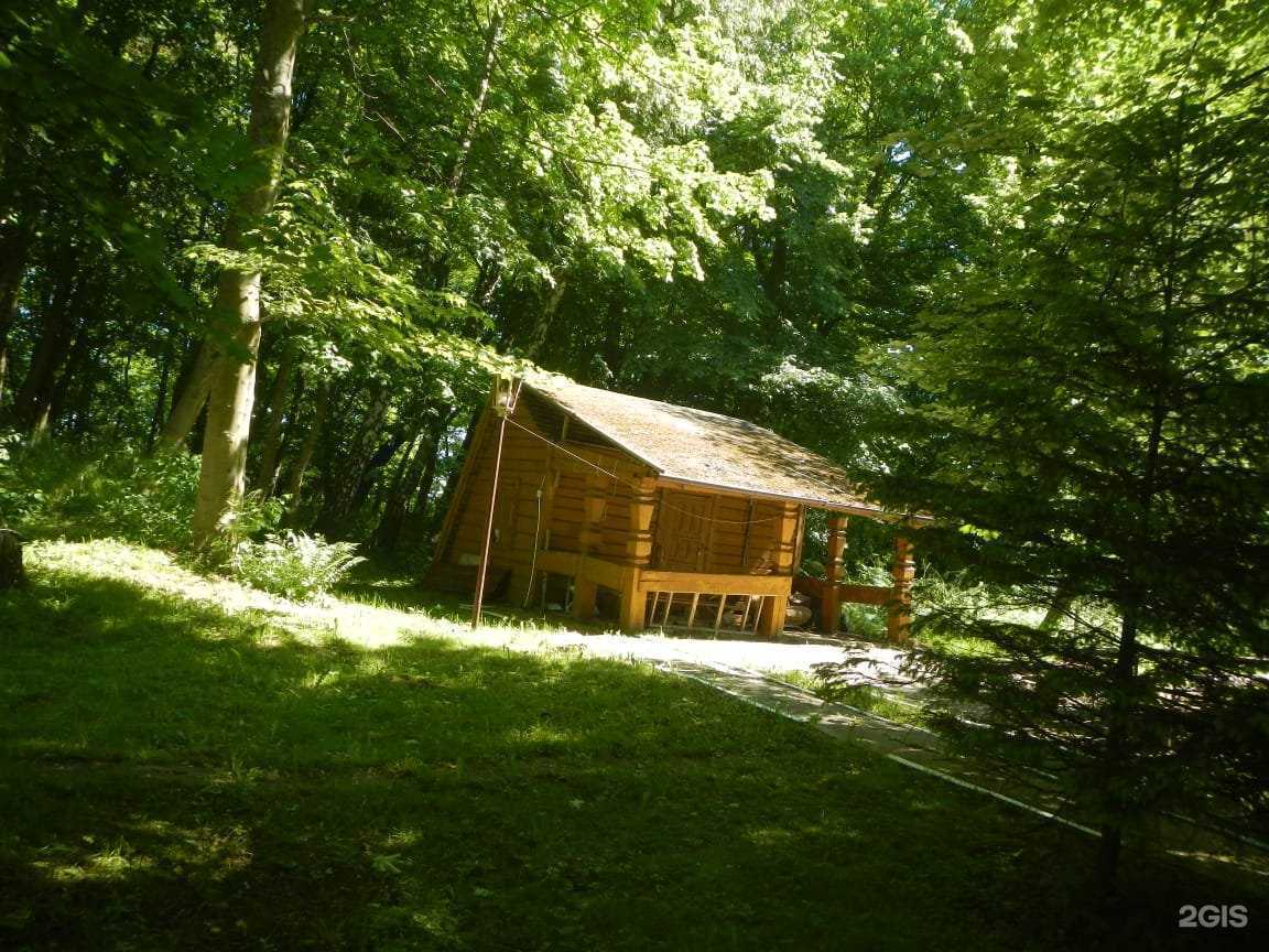 Отзывы на компанию Отрадное в г. Светлогорск c фото