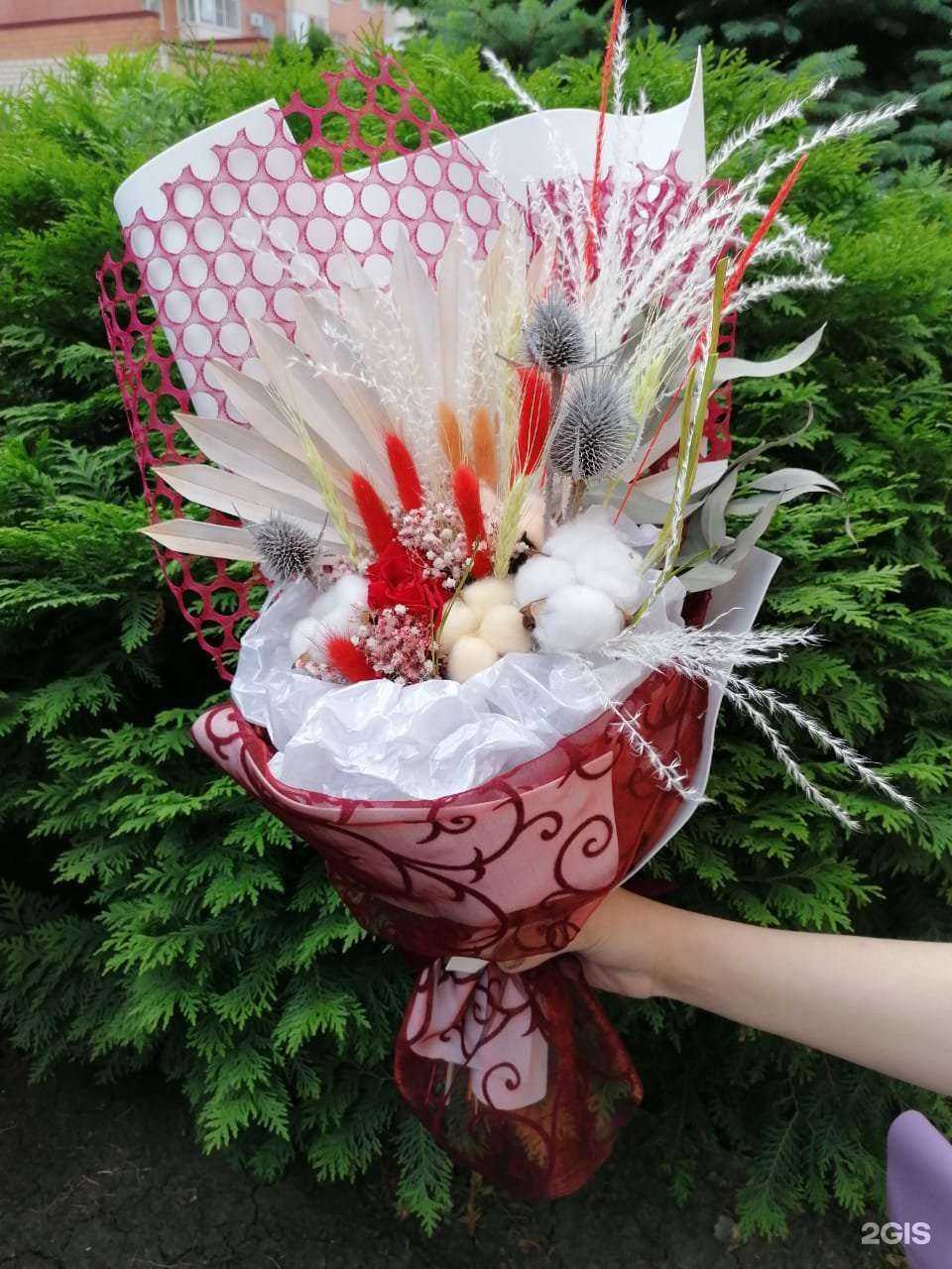 Отзывы на компанию Мерси в Краснодаре c фото