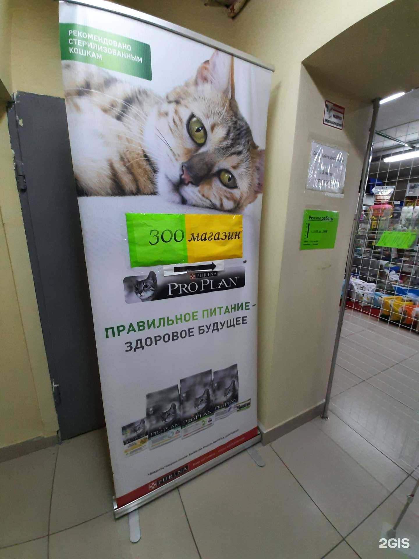 Отзывы на компанию Зоомагазин в г. Самара c фото