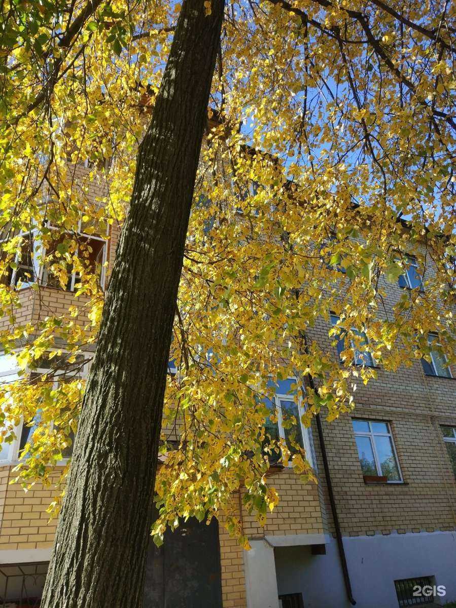 Отзывы на компанию Строймаркет в Перми c фото - фотография 2 из 2