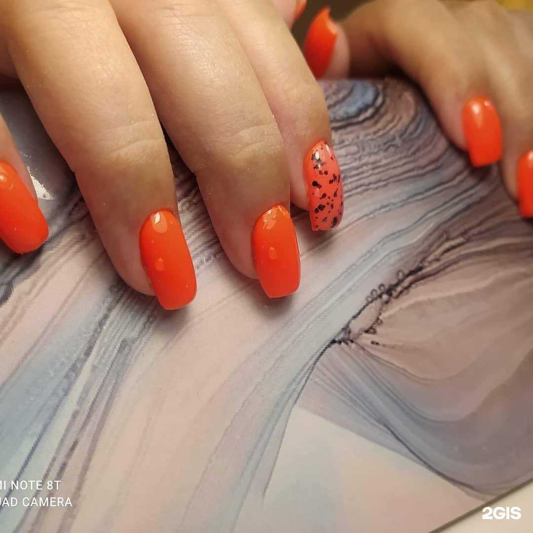 Отзывы на компанию Фантазия в Сочи c фото