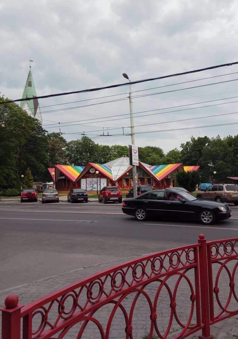 Отзывы на компанию Магазин цветов39 в Калининграде c фото - фотография 2 из 2