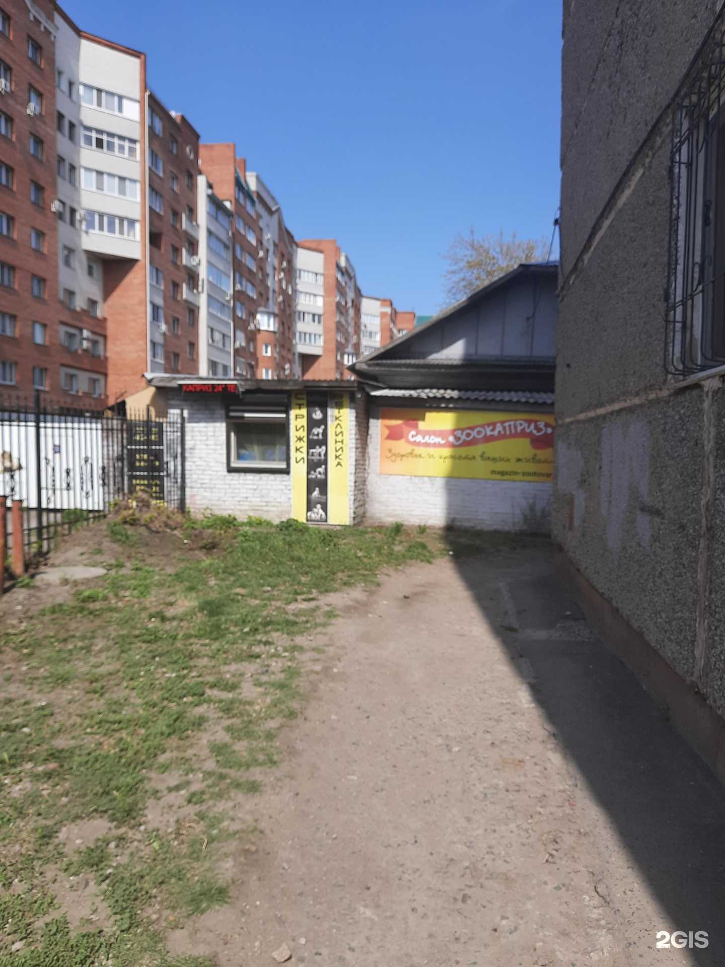 Отзывы на компанию Зоокаприз в Омске c фото - фотография 2 из 2