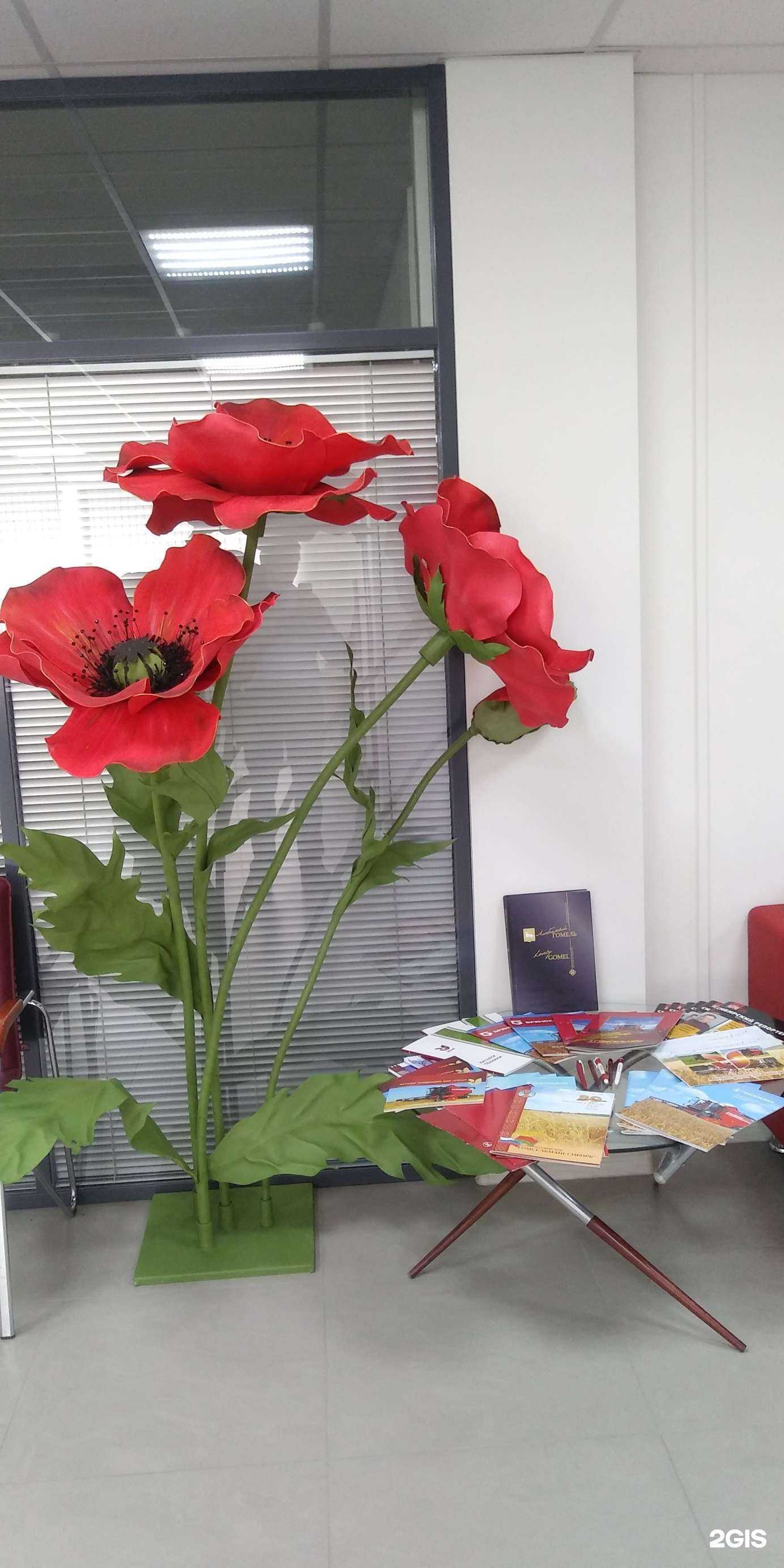 Отзывы на компанию Гомсельмаш-Сибирь в Новосибирске c фото