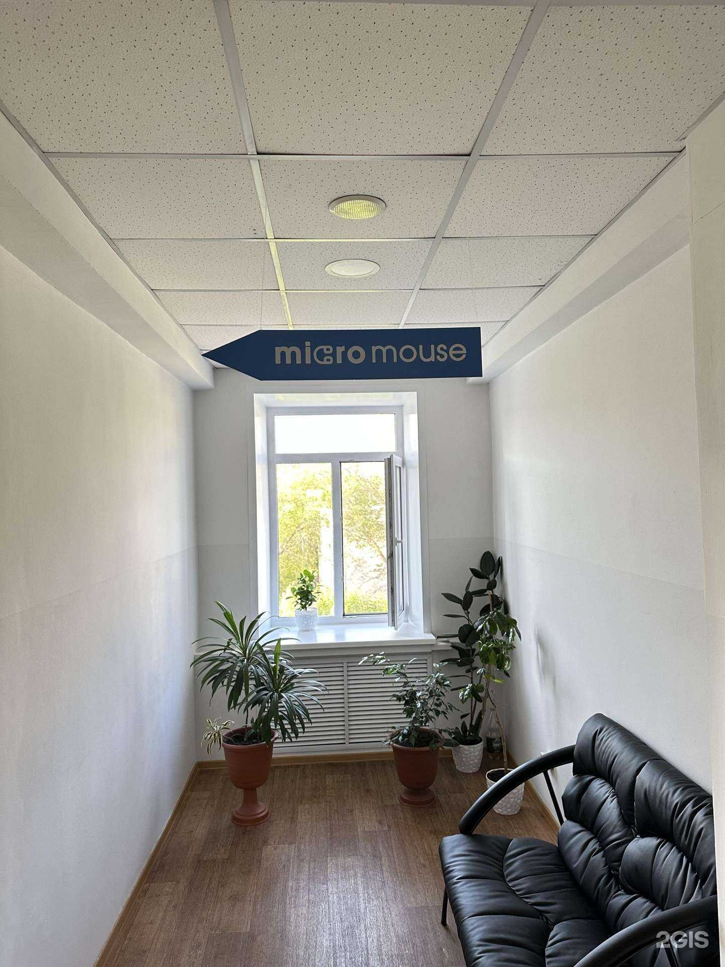 Отзывы на компанию Micro mouse в Омске c фото