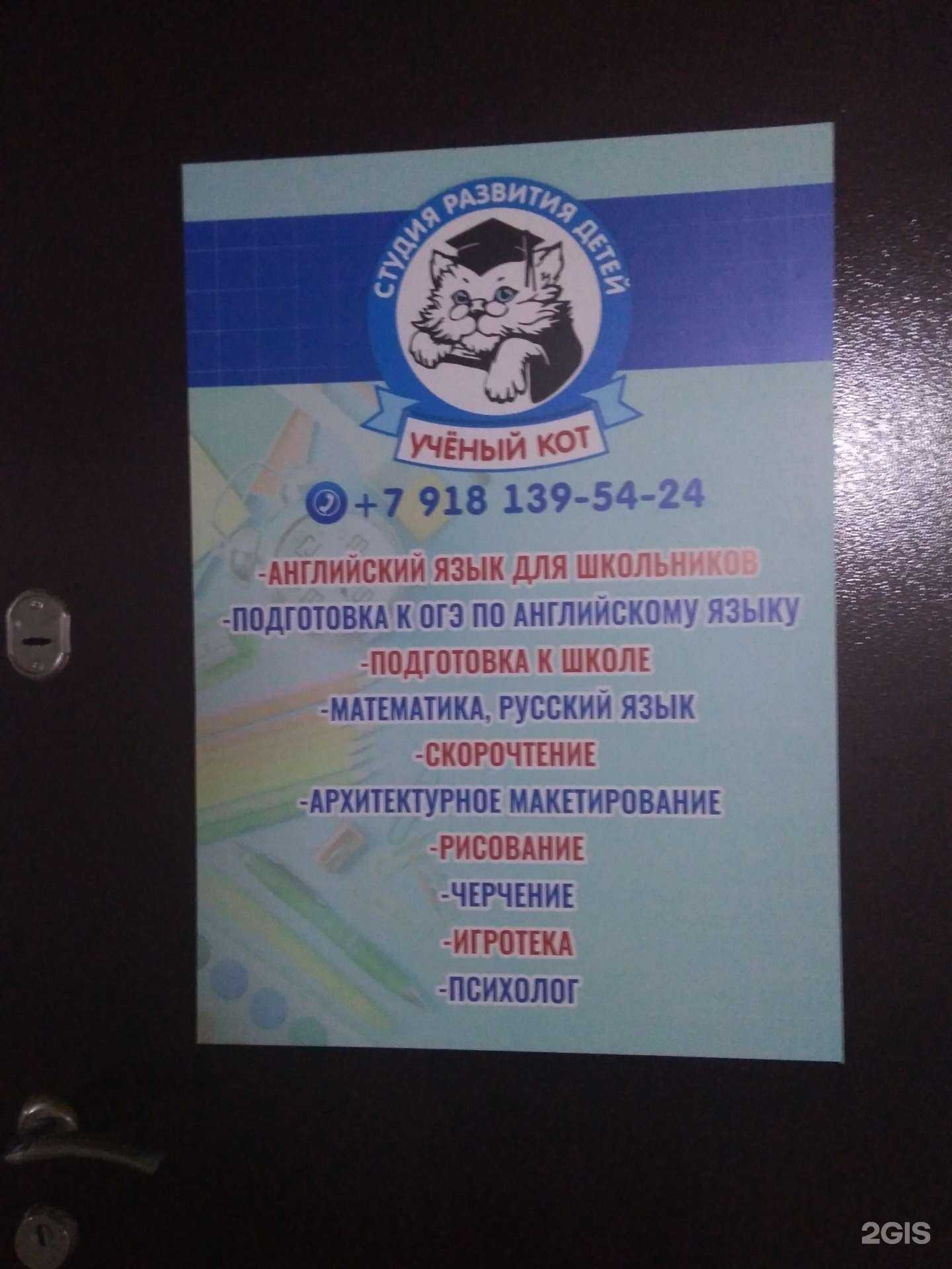 Отзывы на компанию Ученый кот в Анапе c фото