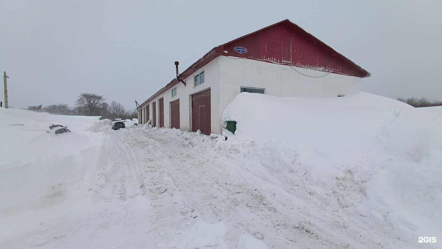 Отзывы на компанию Айболит для авто в Южно-Сахалинске c фото - фотография 2 из 2