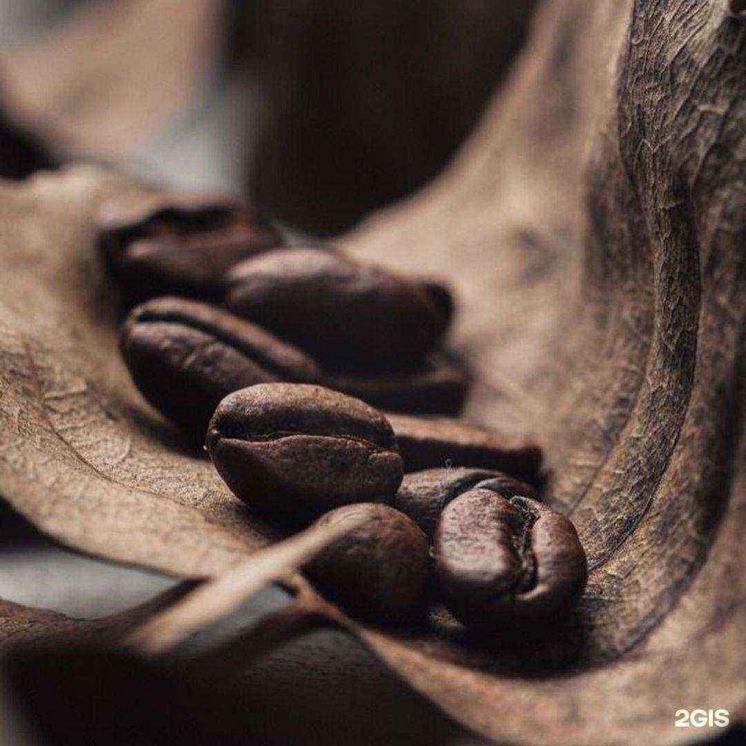 Отзывы на компанию Bristles в Майкопе c фото