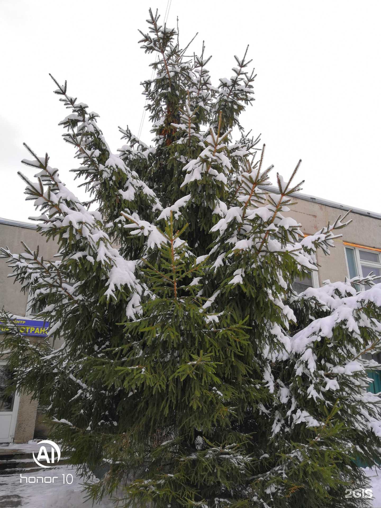 Отзывы на компанию Мистер Заправкин в г. Ульяновск c фото