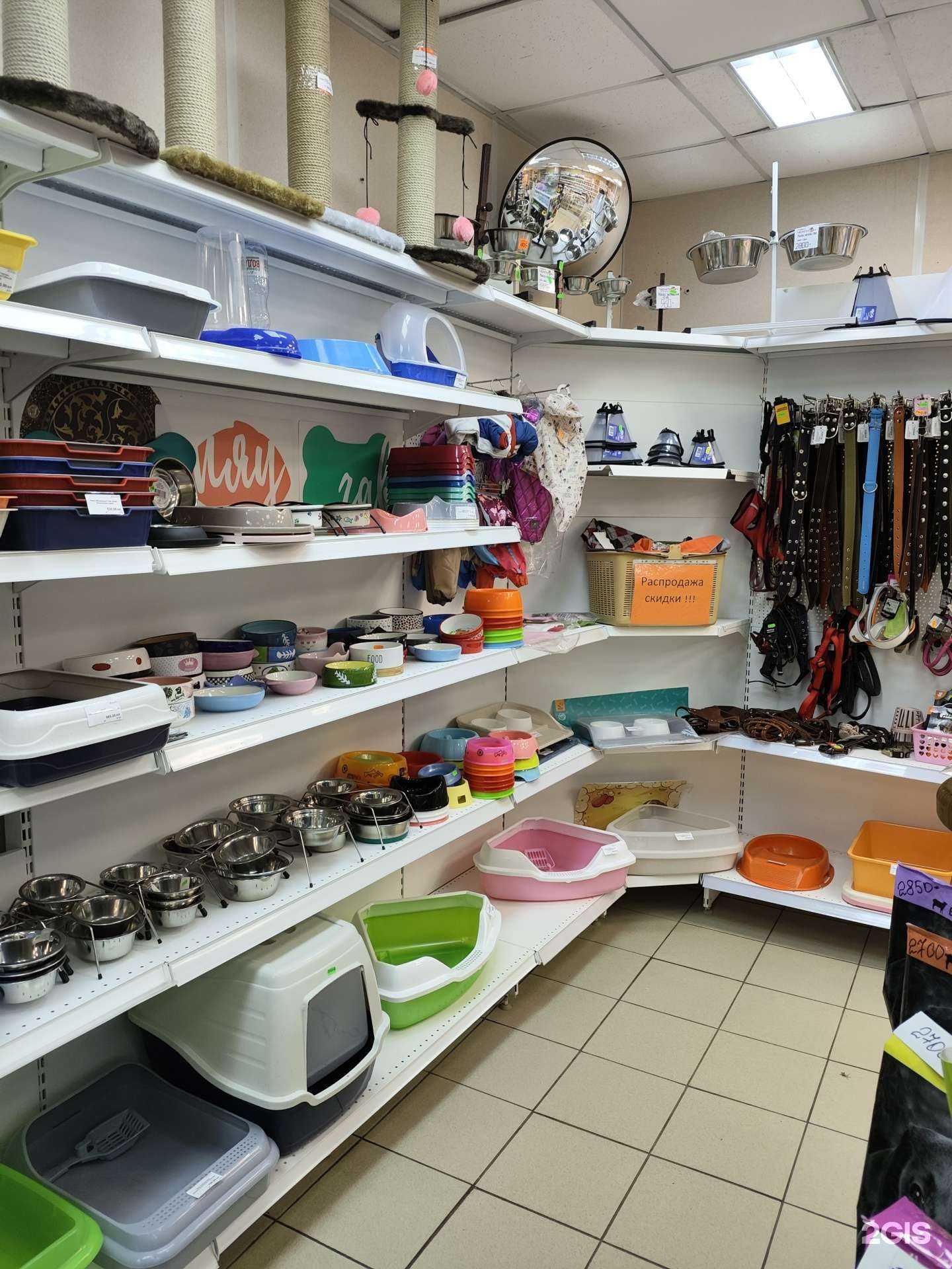 Отзывы на компанию Чемпион в Архангельске c фото