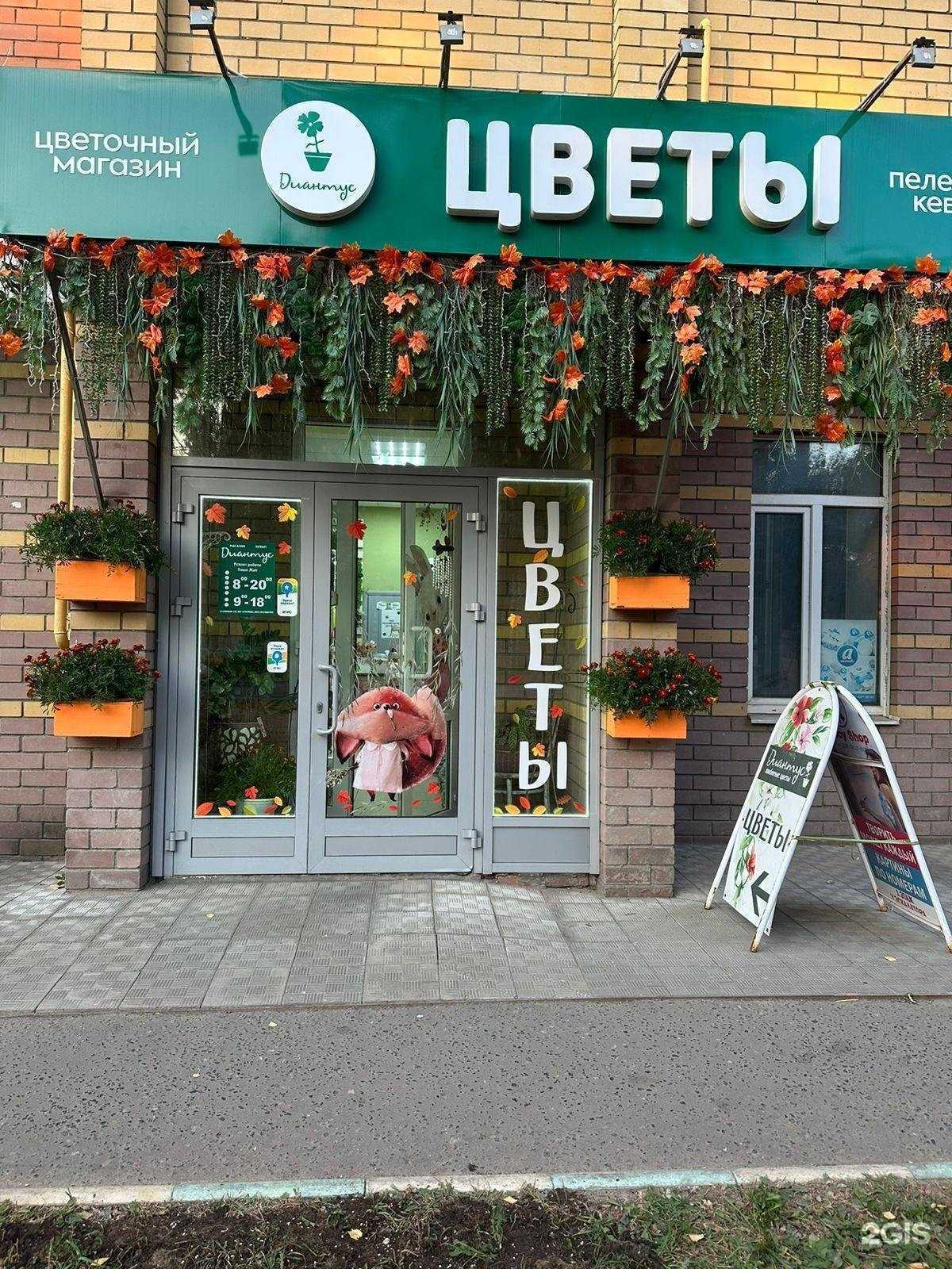 Отзывы на компанию Диантус в г. Йошкар-Ола c фото