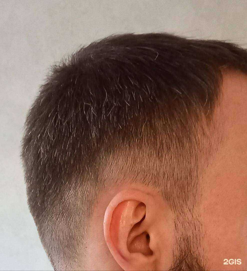 Отзывы на компанию Штрих в Архангельске c фото