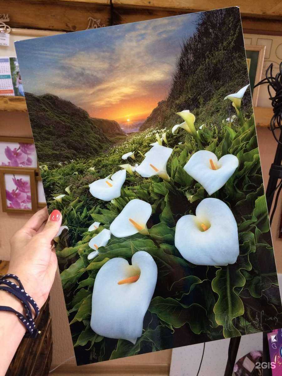 Отзывы на компанию Фотодок в г. Красноярск c фото
