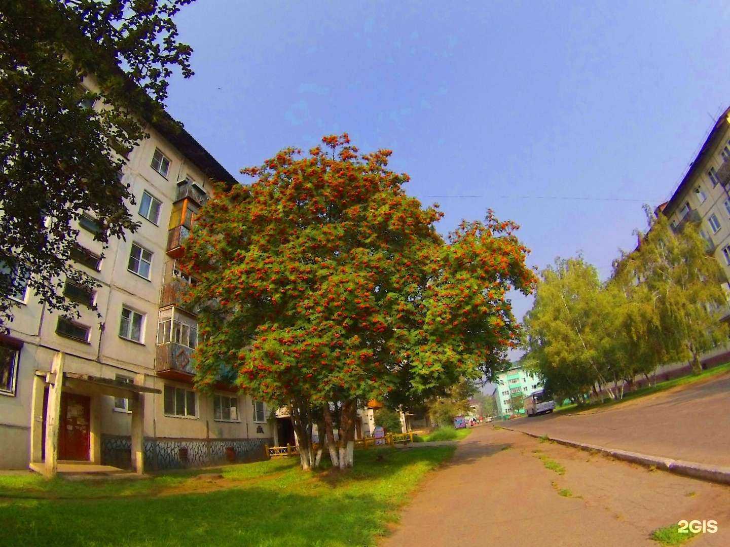 Отзывы на компанию Тип-Топ в Шелехове c фото - фотография 2 из 2