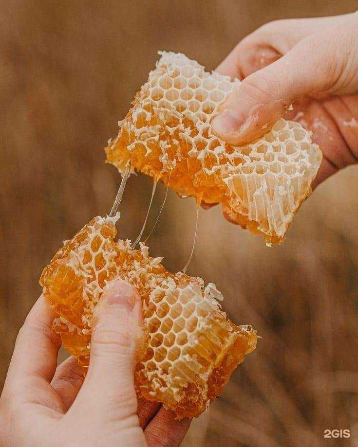 Отзывы на компанию Пчеловодческая фирма в Тюмени c фото