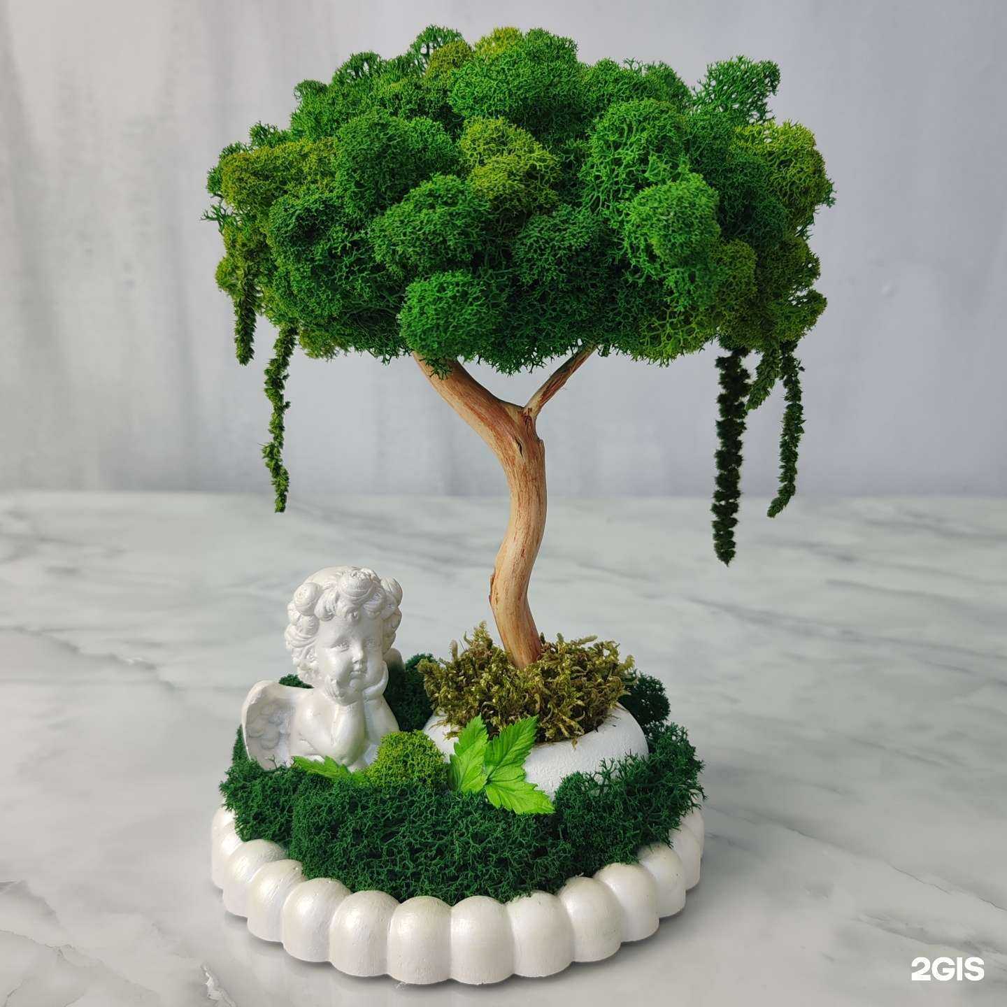 Отзывы на компанию Аликанна в Иркутске c фото