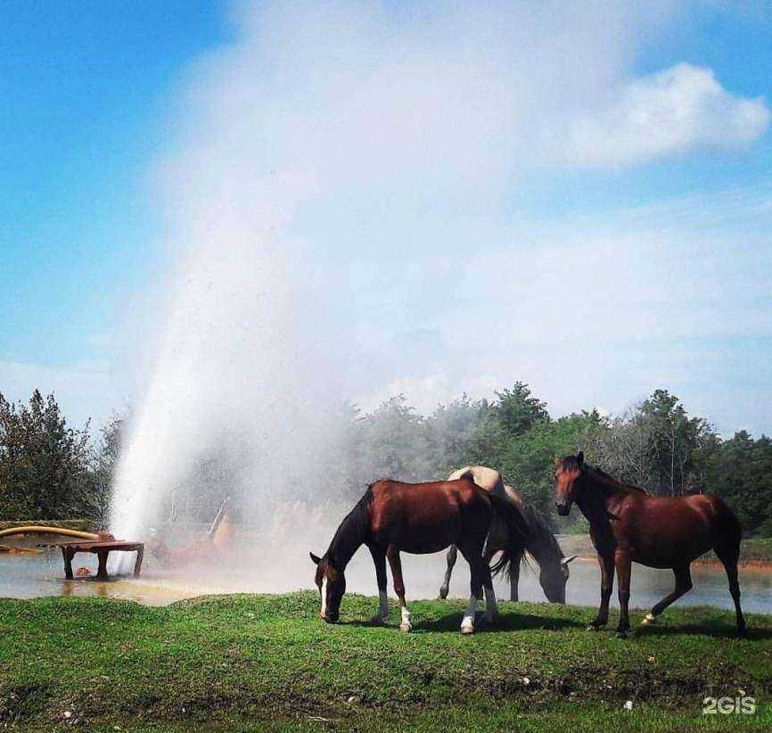 Отзывы на компанию Абара в г. Сочи c фото