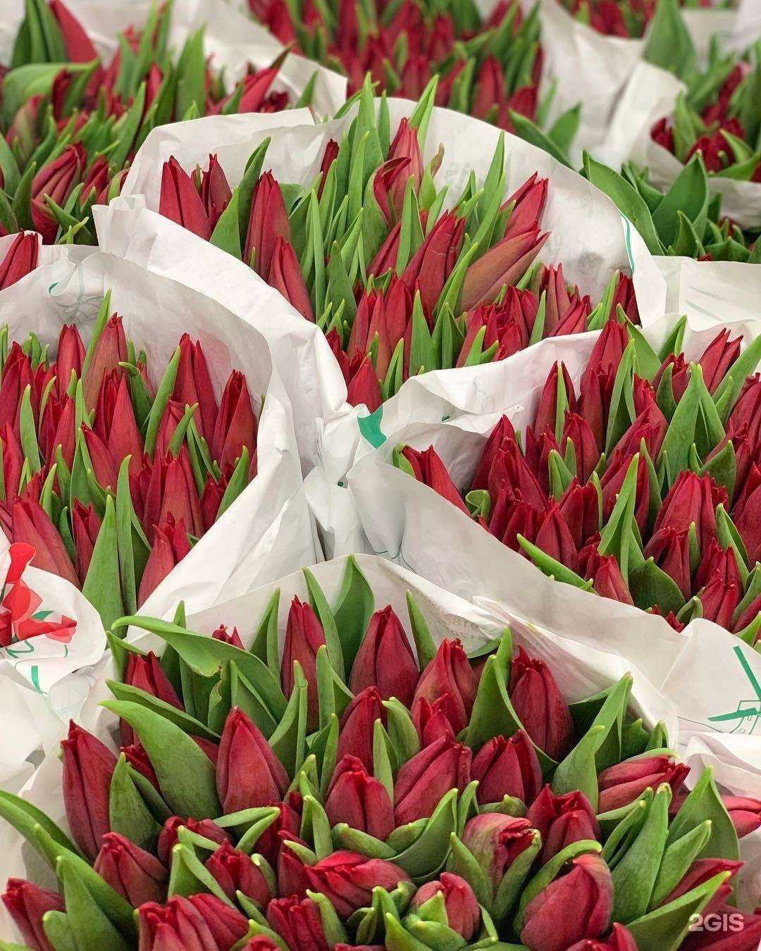 Отзывы на компанию Mega flora в Тюмени c фото