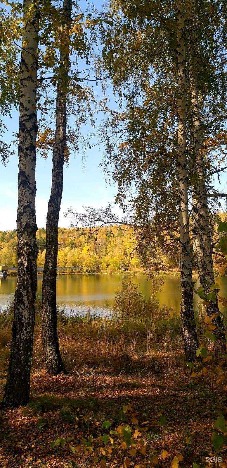 Отзывы на компанию Время в Новосибирске c фото
