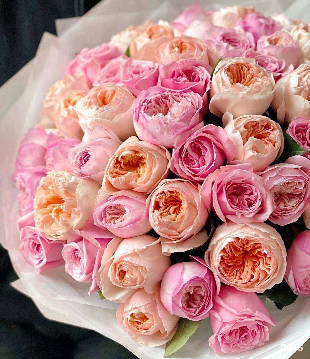 Отзывы на компанию Соцветие в г. Рязань c фото