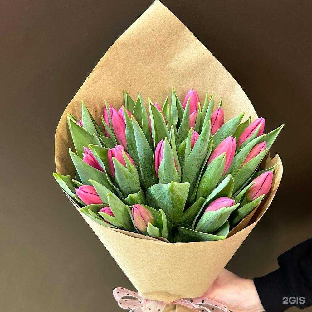 Отзывы на компанию Каталея в Сургуте c фото