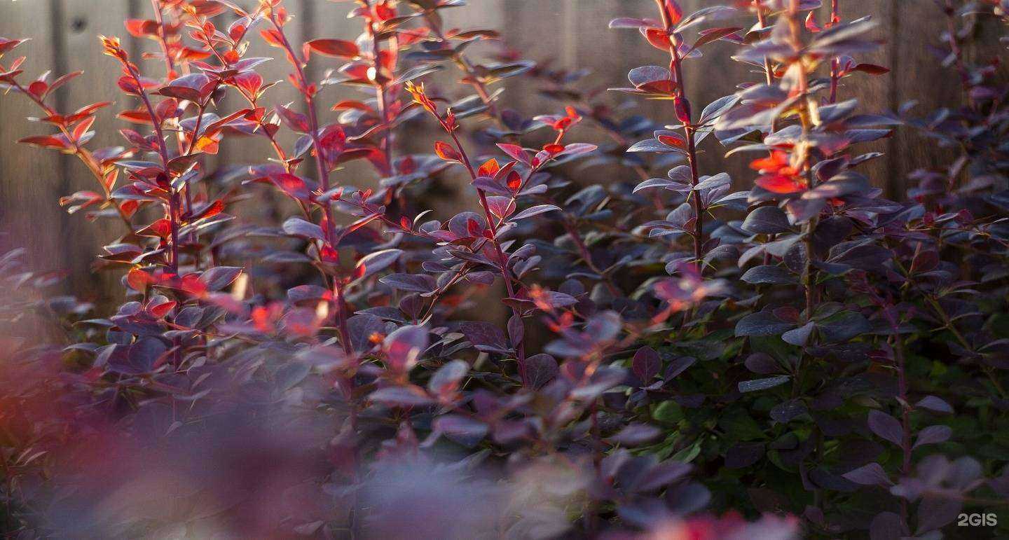 Отзывы на компанию Sinkov в г. Новороссийск c фото