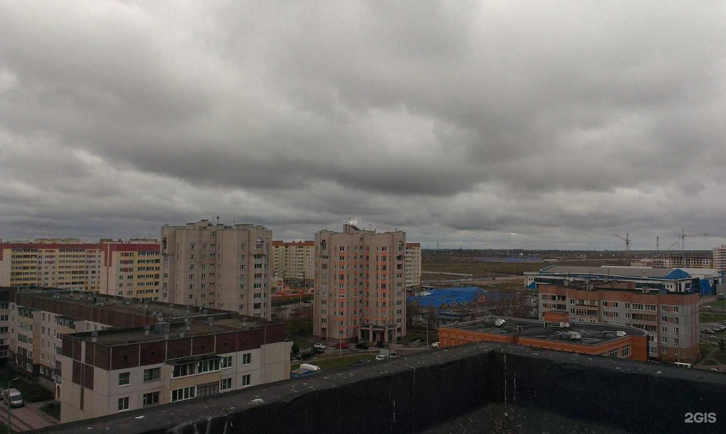 Отзывы на компанию Веселый улей в Пскове c фото - фотография 2 из 2