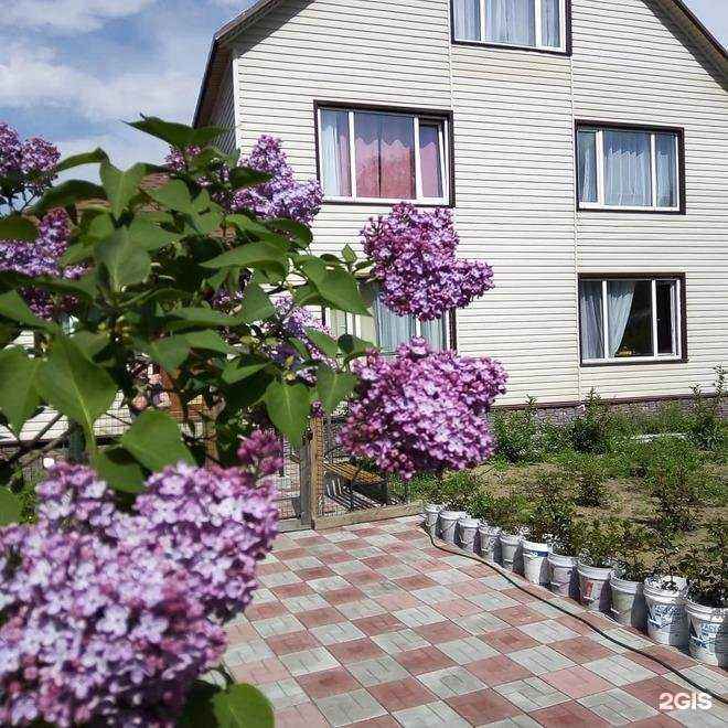 Отзывы на компанию Камчатдар в г. Елизово c фото