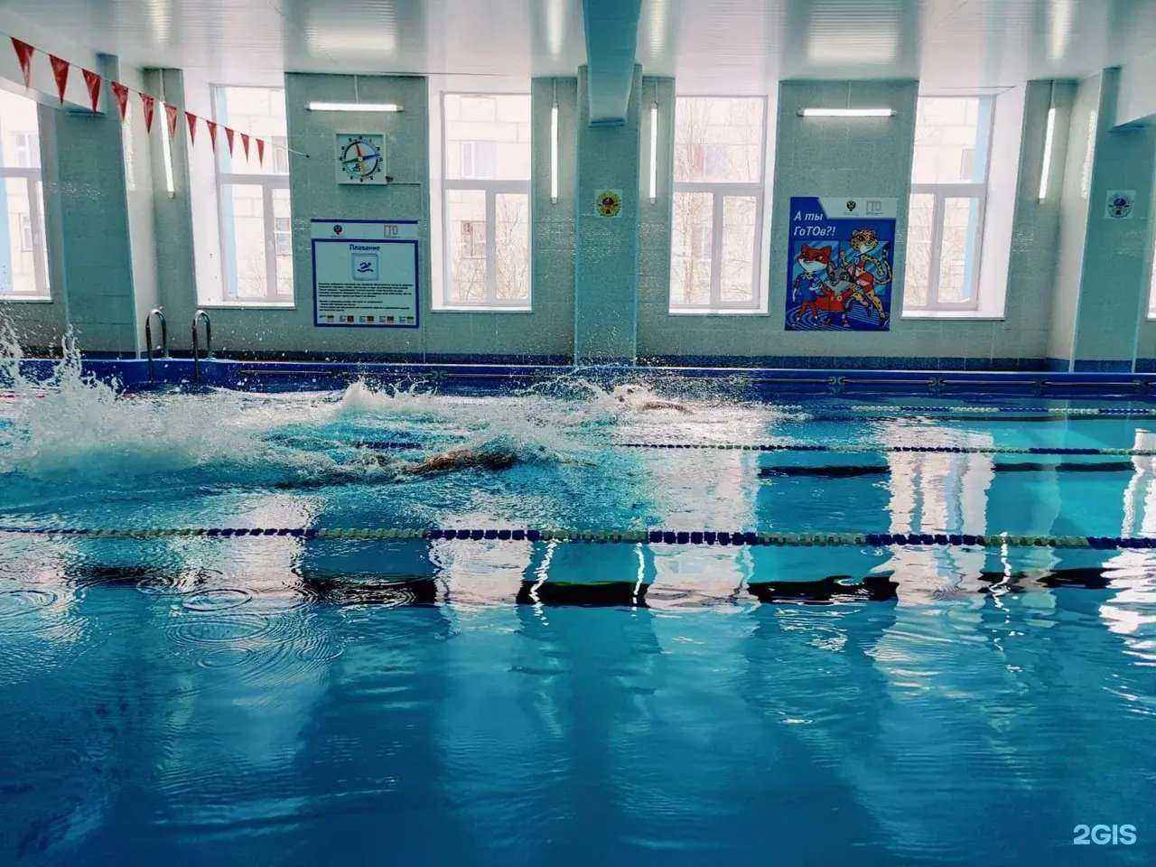 Отзывы на компанию Дельфин в Надыме c фото