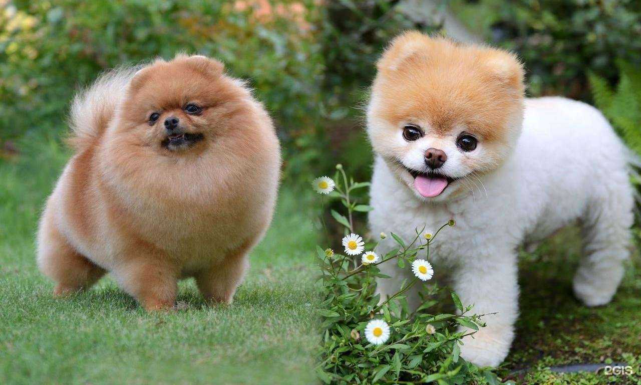 Отзывы на компанию Хвостовиль в г. Котельники c фото